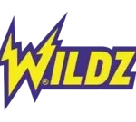 wildz casino logo 2025
